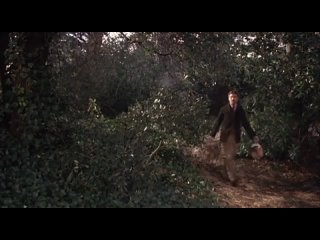 lady chatterley's lover (1981)